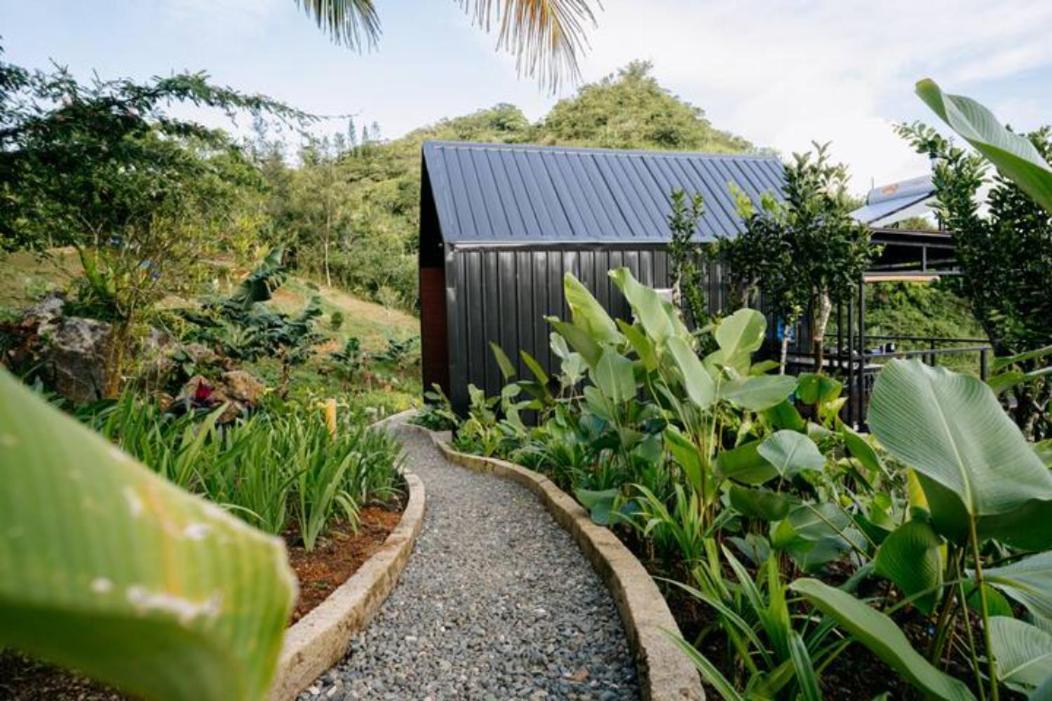 Grey Rock Mountain Cabin W/ Jacuzzi Balamban Exteriör bild